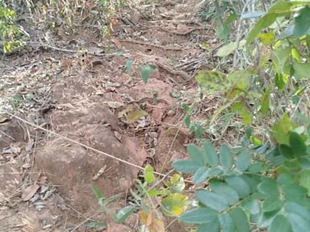 Terreno venda em Presidente Olegário