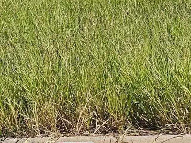 Terreno venda em Região Imediata de Presidente Prudente, Presidente Prudente