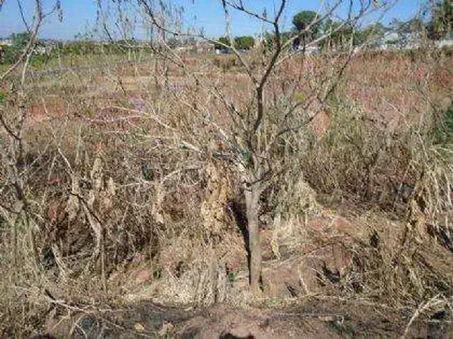 Terreno venda em Região Imediata de Presidente Prudente, Presidente Prudente