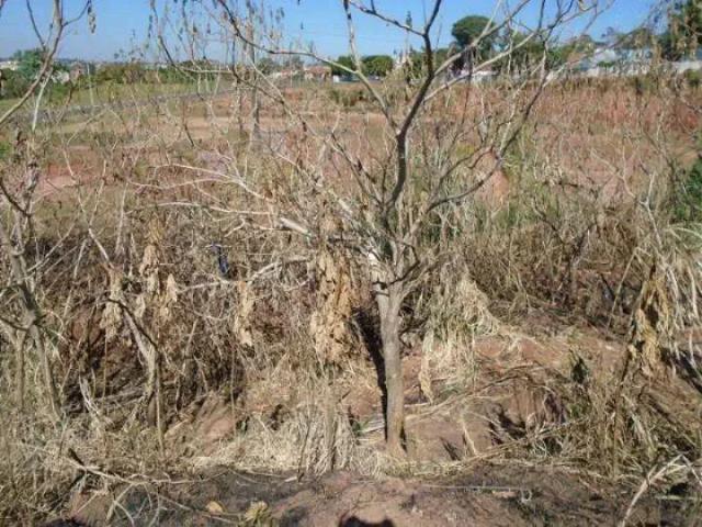 Terreno venda em Região Imediata de Presidente Prudente, Presidente Prudente
