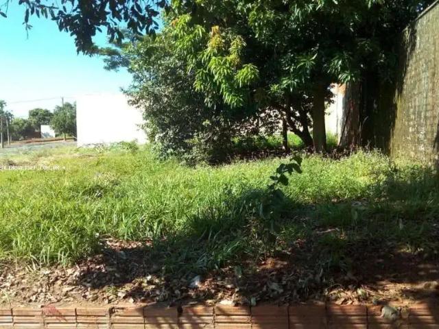 Terreno venda em Região Imediata de Presidente Prudente, Presidente Prudente