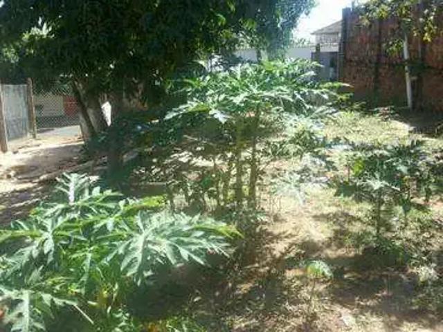 Terreno venda em Região Imediata de Presidente Prudente, Presidente Prudente