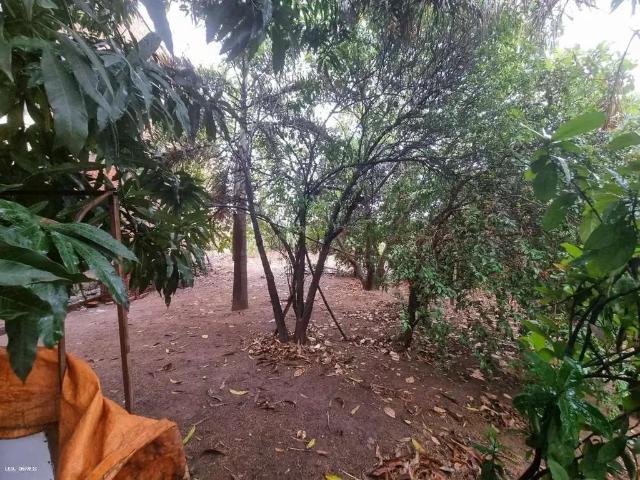 Terreno venda em Região Imediata de Presidente Prudente, Presidente Prudente