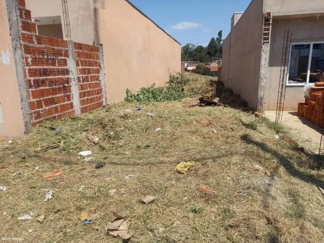 Terreno venda em Região Imediata de Presidente Prudente, Presidente Prudente