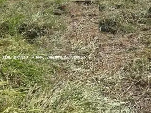 Terreno venda em Região Imediata de Presidente Prudente, Presidente Prudente