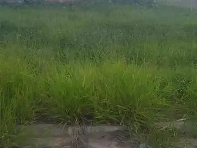 Terreno venda em Região Imediata de Presidente Prudente, Presidente Prudente