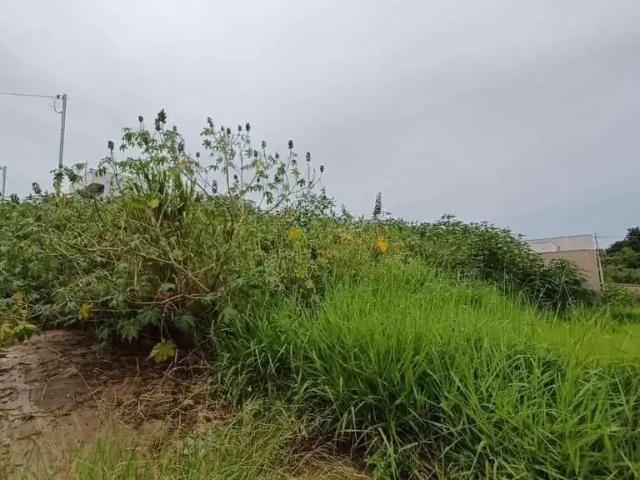 Terreno venda em Região Imediata de Presidente Prudente, Presidente Prudente
