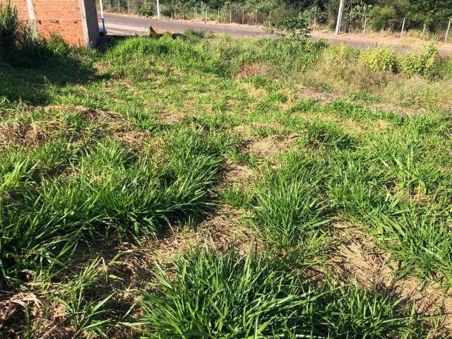 Terreno venda em Região Imediata de Presidente Prudente, Presidente Prudente