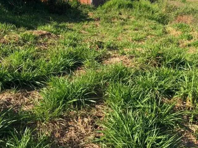 Terreno venda em Região Imediata de Presidente Prudente, Presidente Prudente