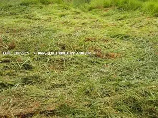 Terreno venda em Região Imediata de Presidente Prudente, Presidente Prudente