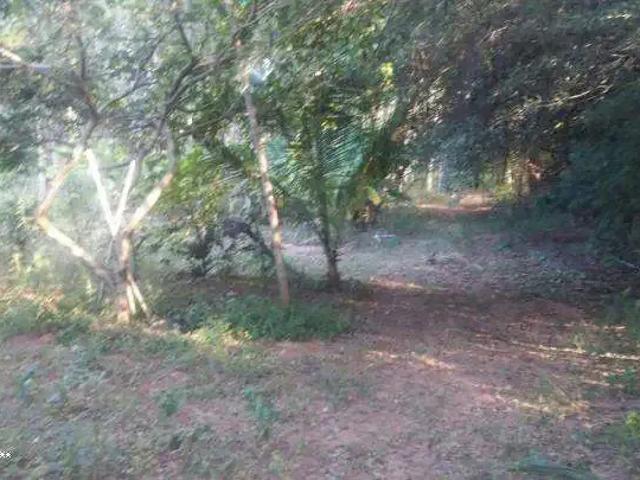 Terreno venda em Região Imediata de Presidente Prudente, Presidente Prudente