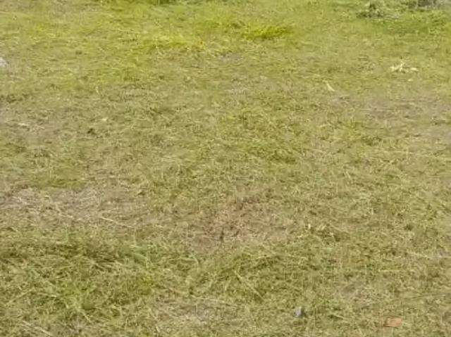 Terreno venda em Presidente Prudente, Região Geográfica Intermediária de Presidente Prudente