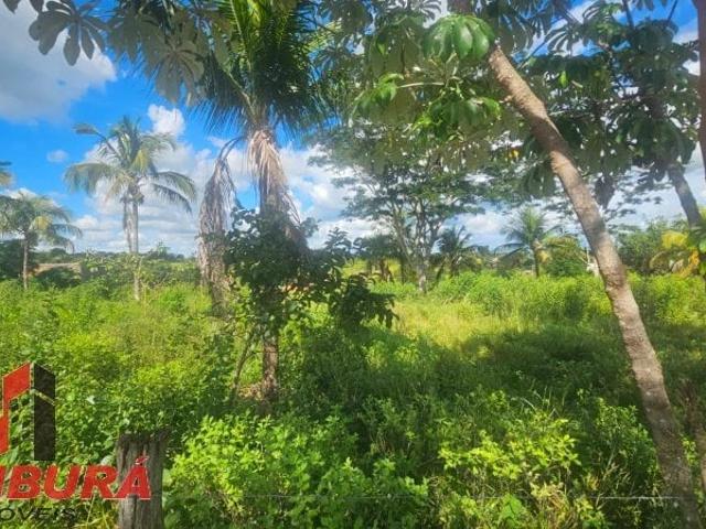 Terreno venda em Presidente Prudente, Região Geográfica Intermediária de Presidente Prudente
