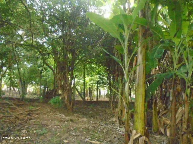Terreno venda em Região Imediata de Presidente Prudente, Presidente Prudente