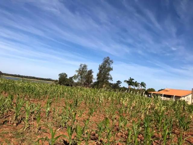 Terreno venda em Primeiro de Maio, Região Geográfica Intermediária de Londrina