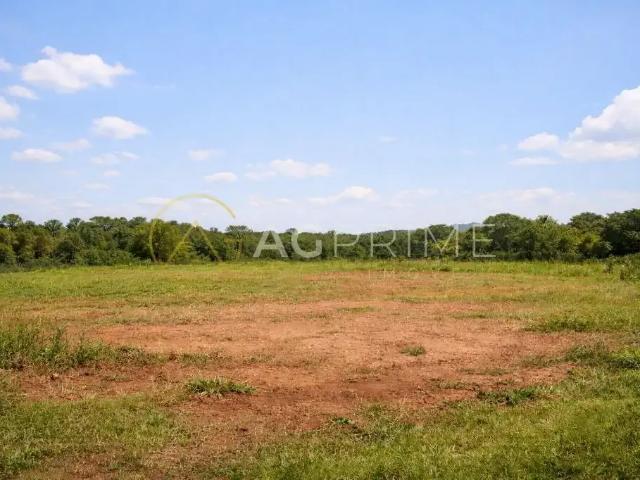 Terreno venda em Região Geográfica Imediata de Londrina, Primeiro de Maio