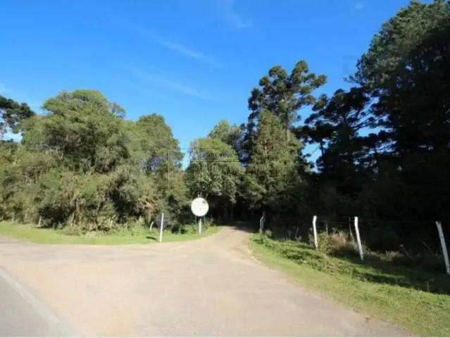 Terreno venda em Região Geográfica Imediata de Curitiba, Região Metropolitana de Curitiba
