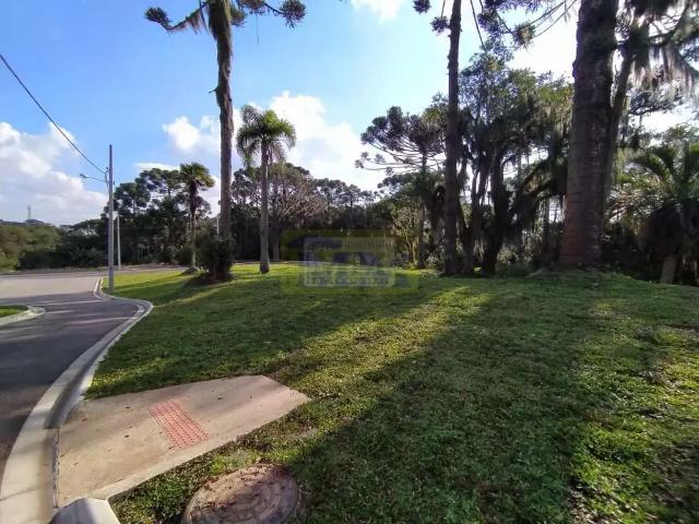 Terreno venda em Região Geográfica Imediata de Curitiba, Região Metropolitana de Curitiba