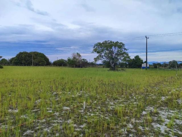 Terreno venda em Região Geográfica Imediata de Macaé-Rio das Ostras, Quissama