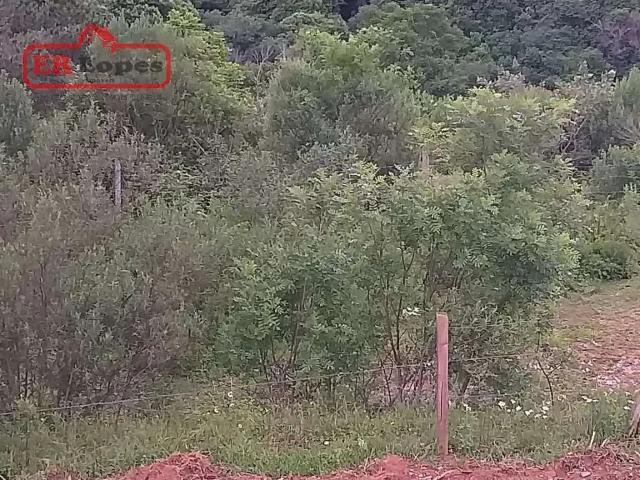 Terreno venda em Região Geográfica Imediata de Curitiba, Região Metropolitana de Curitiba