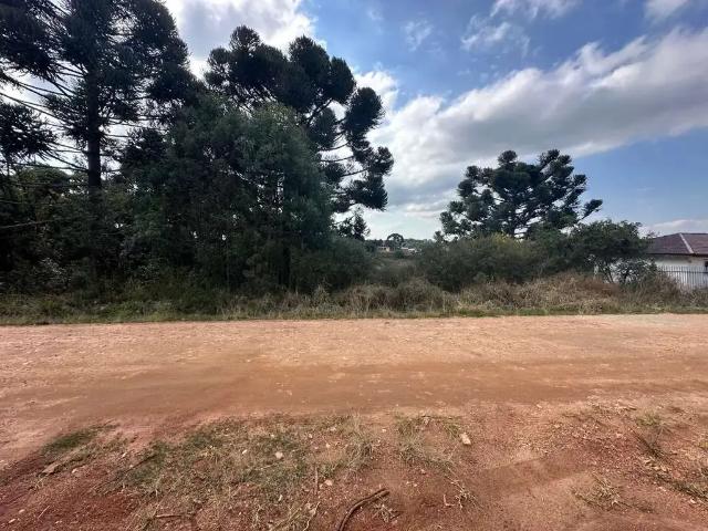 Terreno venda em Região Geográfica Imediata de Curitiba, Região Metropolitana de Curitiba