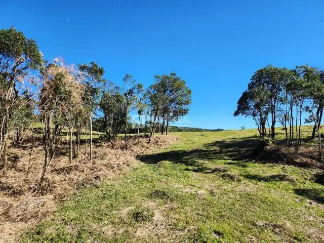 Terreno venda em Região Geográfica Imediata de Florianópolis, Pouso Redondo