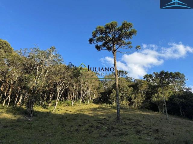 Terreno venda em Águas Claras, Região Geográfica Intermediária do Distrito Federal