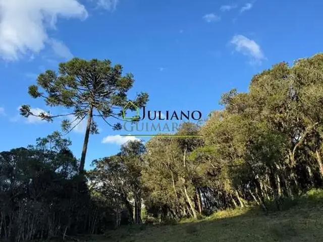 Terreno venda em Região Geográfica Imediata de Florianópolis, Pouso Redondo