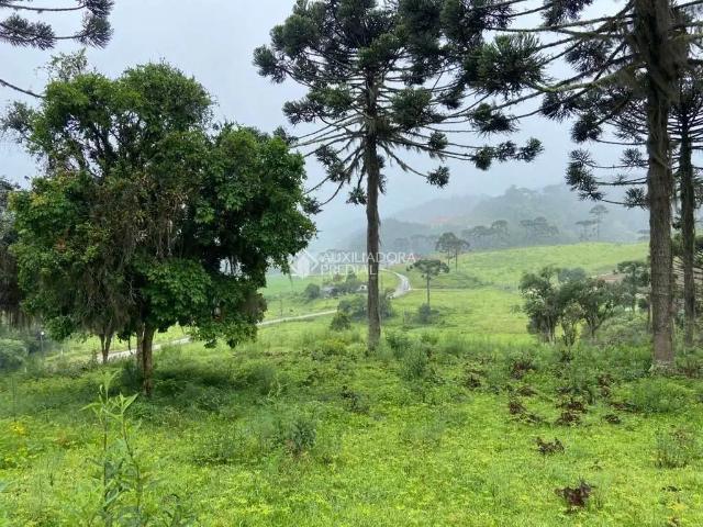 Terreno venda em Região Geográfica Imediata de Florianópolis, Pouso Redondo