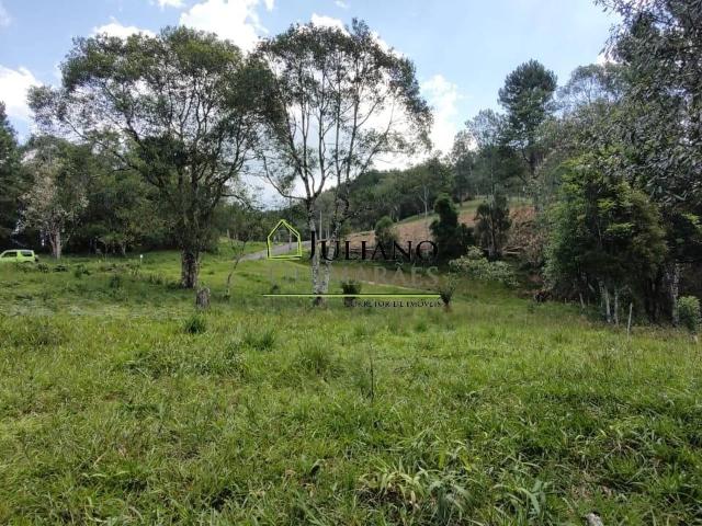 Terreno venda em Centro, Rancho Queimado