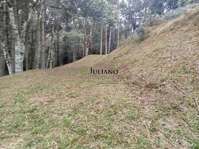 Terreno venda em Centro, Rancho Queimado