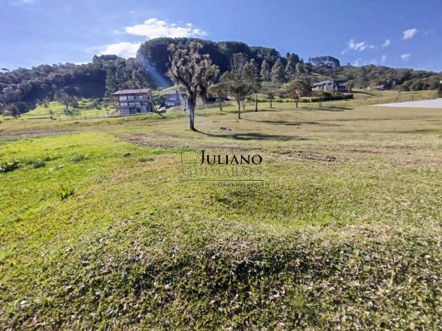 Terreno venda em Centro, Rancho Queimado