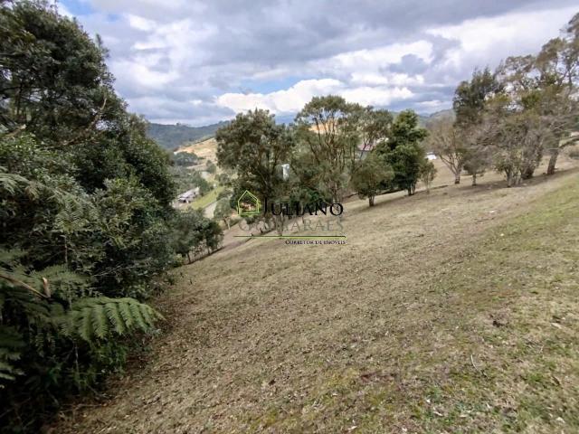 Terreno venda em Centro, Rancho Queimado