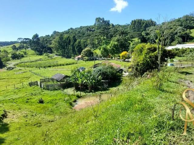 Terreno venda em Região Geográfica Imediata de Florianópolis, Pouso Redondo