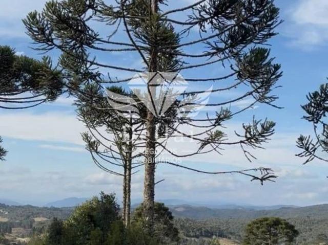 Terreno venda em Taquaras, Rancho Queimado