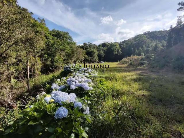 Terreno venda em Região Geográfica Imediata de Florianópolis, Pouso Redondo