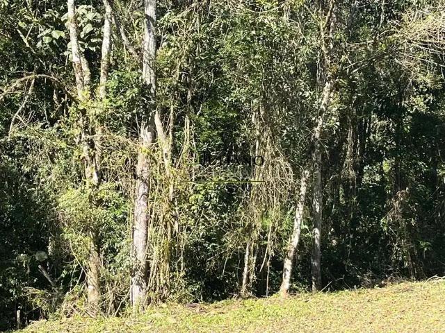 Terreno venda em Região Geográfica Imediata de Florianópolis, Pouso Redondo