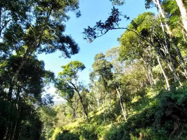 Terreno venda em Região Geográfica Imediata de Florianópolis, Pouso Redondo