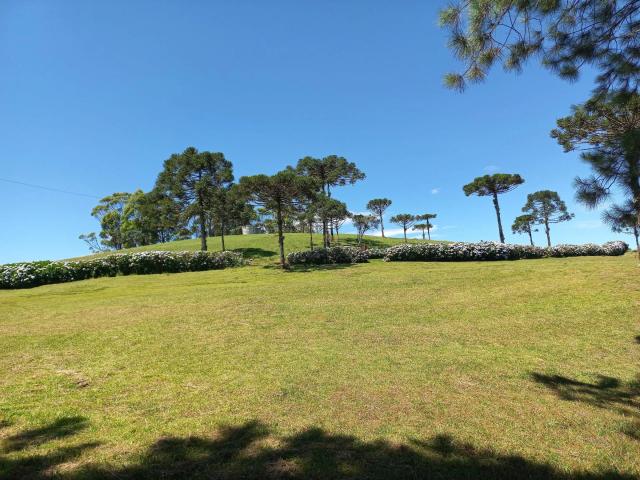 Terreno venda em Centro, Rancho Queimado