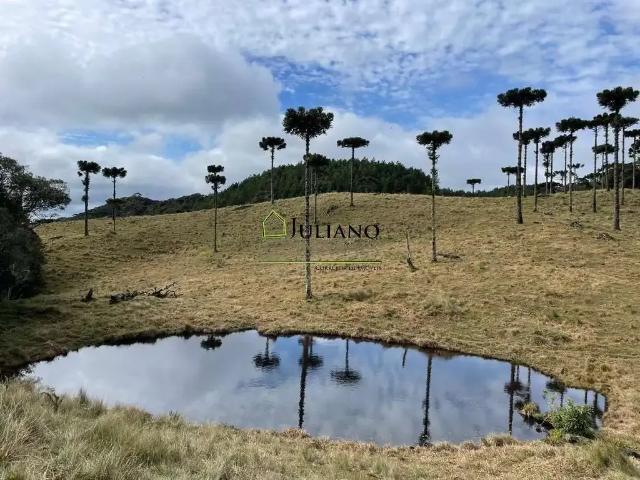 Terreno venda em Região Geográfica Imediata de Florianópolis, Pouso Redondo
