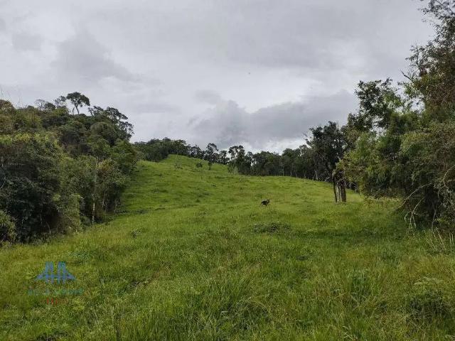 Terreno venda em Taquaras, Rancho Queimado