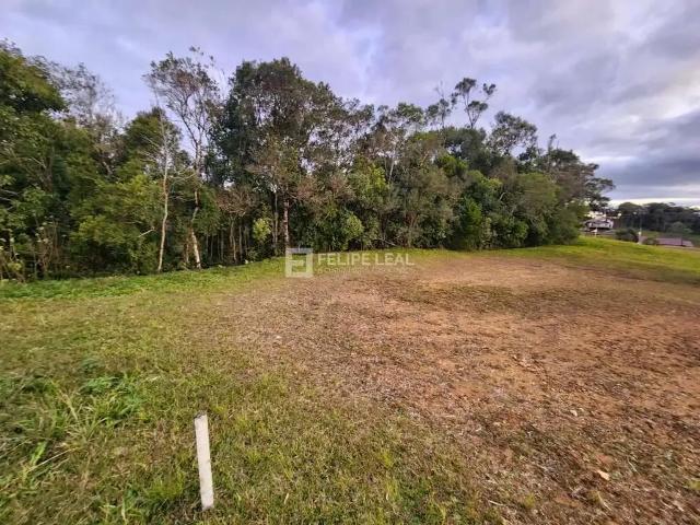 Terreno venda em Região Geográfica Imediata de Florianópolis, Pouso Redondo