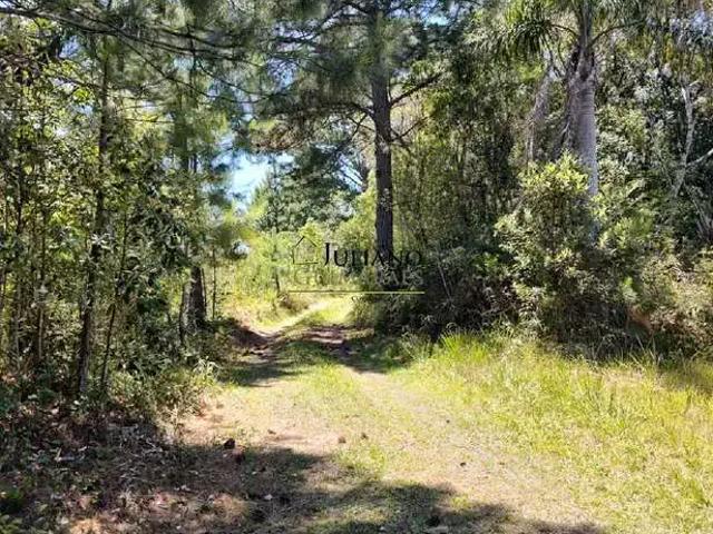 Terreno venda em Região Geográfica Imediata de Florianópolis, Pouso Redondo