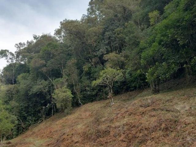 Terreno venda em Centro, Rancho Queimado