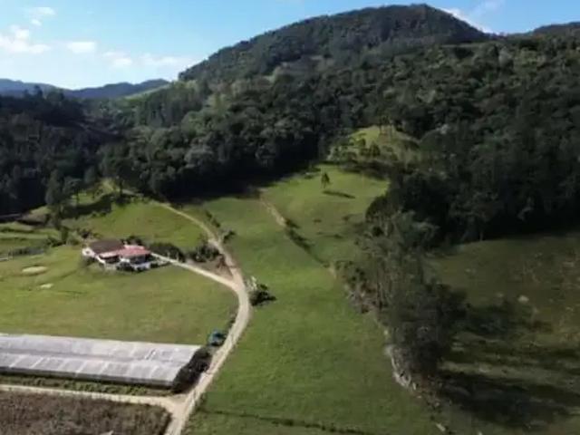 Terreno venda em Região Geográfica Imediata de Florianópolis, Pouso Redondo