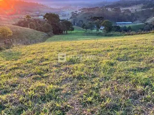 Terreno venda em Região Geográfica Imediata de Florianópolis, Pouso Redondo