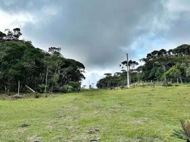 Terreno venda em Região Geográfica Imediata de Florianópolis, Pouso Redondo