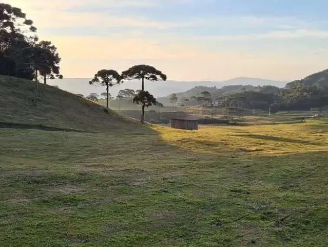 Terreno venda em Região Geográfica Imediata de Florianópolis, Pouso Redondo