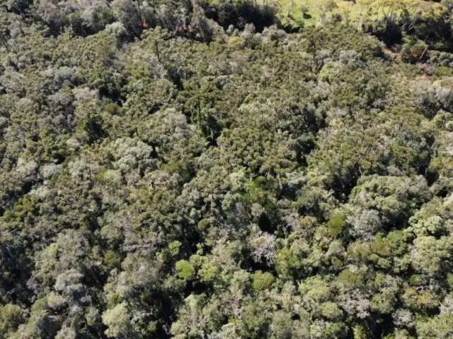 Terreno venda em Região Geográfica Imediata de Florianópolis, Pouso Redondo