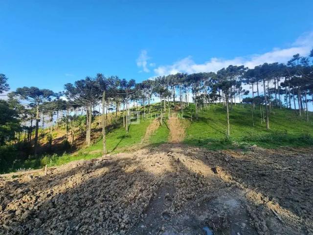 Terreno venda em Região Geográfica Imediata de Florianópolis, Pouso Redondo